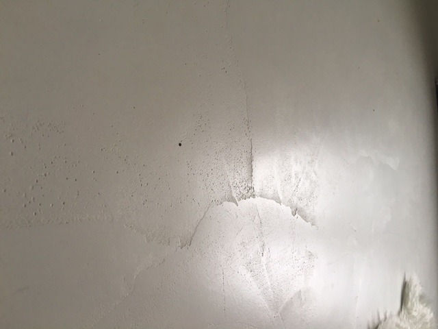 [Obrazek: image2.jpeg]